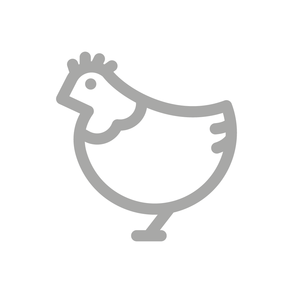Дополнительная порция филе курицы (60гр)